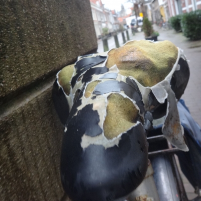 5498_derde_bal_half_gouda.jpg