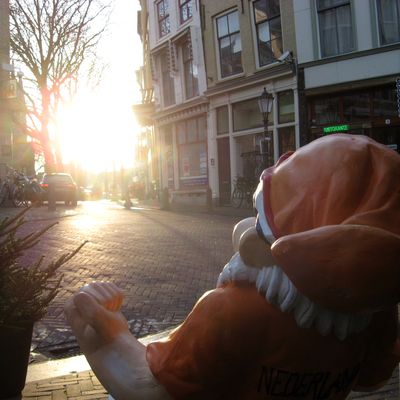 5503_de_schreeuwende_half_gouda_19_01_2020.jpg