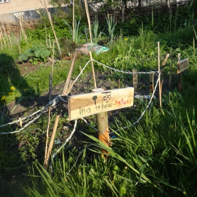 5627_natuur_half_gouda.jpg