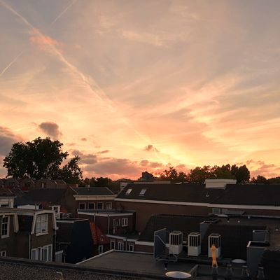 5686_van_de_krim_half_gouda_14_07_2022.jpg