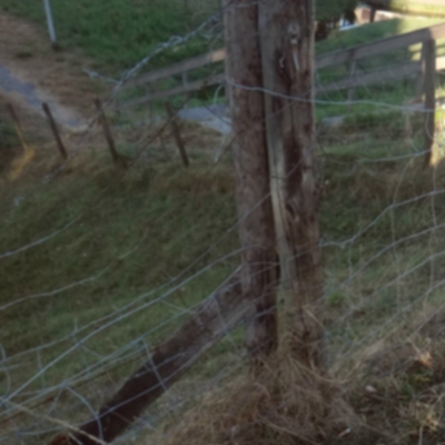 5692_terug_naar_de_natuur_half_gouda.jpg