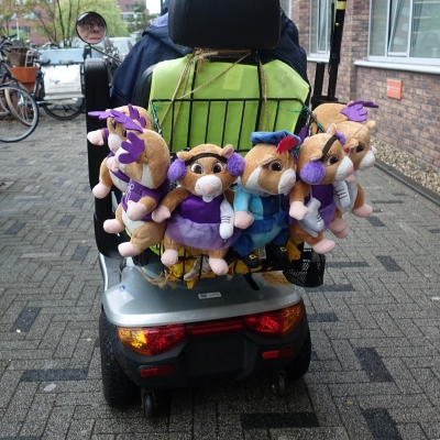 5694_hamsteren.jpg