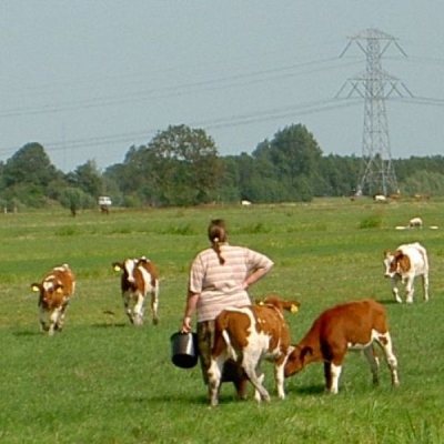 5709_farmers_defence_half_gouda.jpg