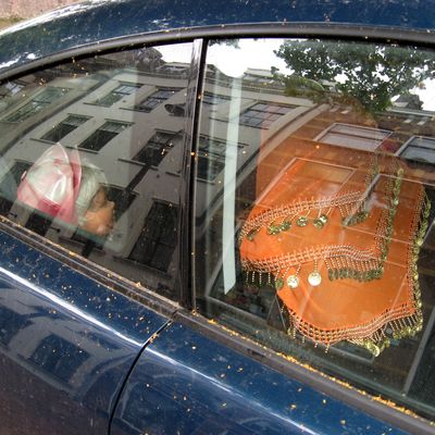 5742_het_reisgezelschap_half_gouda_08_09_2022.jpg