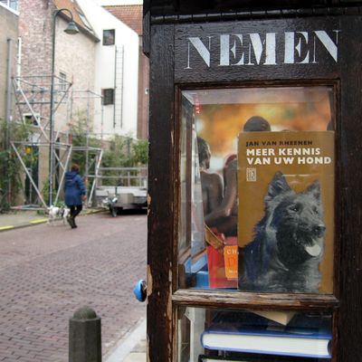 5788_je_hond_half_gouda_20_10_2022.jpg