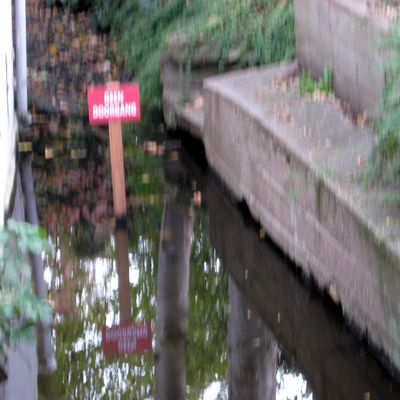 5799_van_ons_genoeg_half_gouda_03_11_2022.jpg