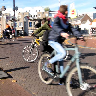 5802_hervorming_half_gouda_06_11_2022.jpg
