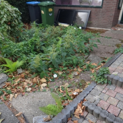 5807_waar_wij_gleden_half_gouda.jpg