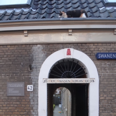 5812_hofkat_half_gouda.jpg