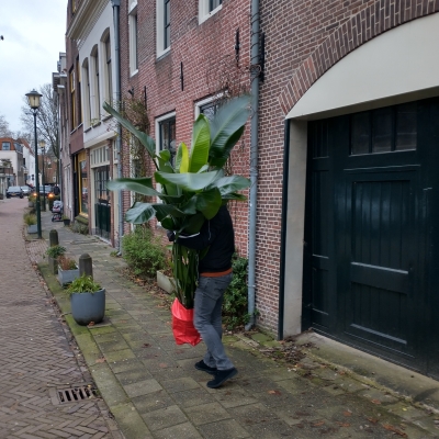 5903_verslaving.jpg