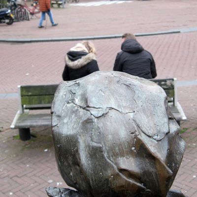 5914_toezicht_half_gouda_26_02_2023.jpg