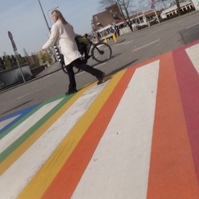 5951_toelichting_halfgouda.jpg