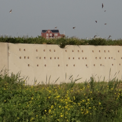 5991_int_kunstig_nest_halfgouda.jpg