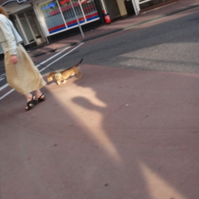 6042_vleestaks_halfgouda.jpg
