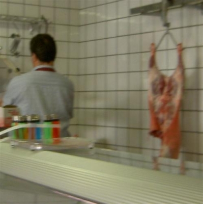 604_weten_van_vlees.jpg