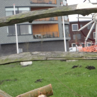 6055_uitstraling_halfgouda.jpg