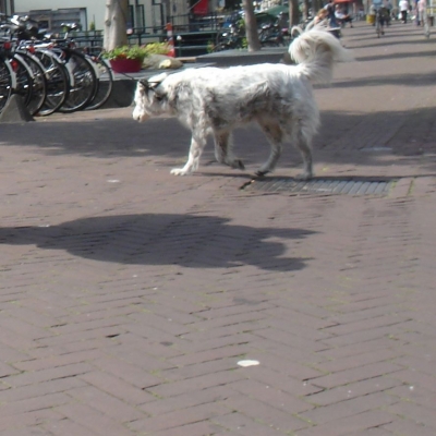 620_jouw_schaduw.jpg