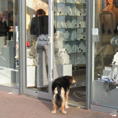 70_nieuw_elan_2811.jpg