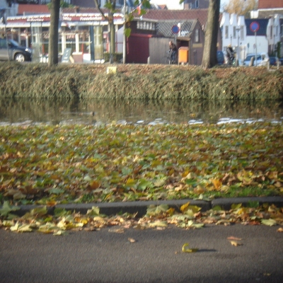 802_geef_nu_maar_toe.jpg