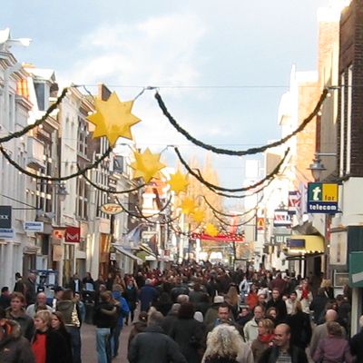 81_mieren_tellen_912.jpg