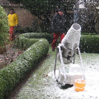 858_krachtdadig_zaad_4_1.jpg